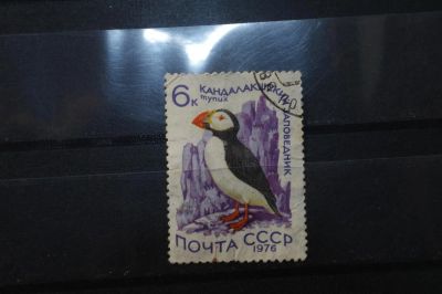 Лот: 3991966. Фото: 1. марки СССР 12 Тупик 1976 г. Марки