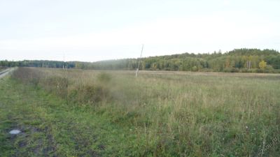 Лот: 4783660. Фото: 1. земельные участки (обмен на авто... Земельные участки