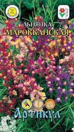 Лот: 11024385. Фото: 1. Льнянка Марокканская 0,05гр. Садовые цветы