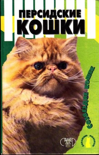 Лот: 23444943. Фото: 1. Персидские кошки | Сери? Домашние... Домашние животные