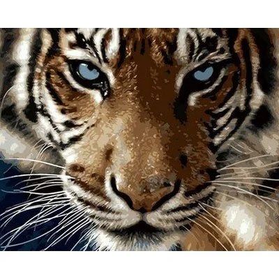 Лот: 12249434. Фото: 1. Рисование по номерам. Картина... Картины по номерам