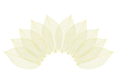 Лот: 25012987. Фото: 1. Листья скелетированные "Mr.Painter... Материалы для ручной работы