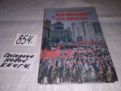 Лот: 12883745. Фото: 1. Кто виноват? И что делать? Видьманов... Политика