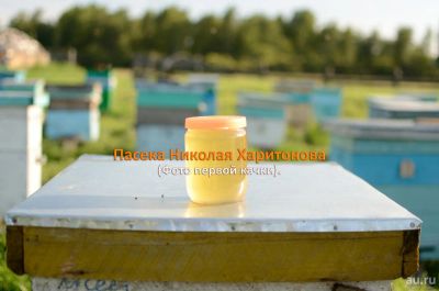 Лот: 3029313. Фото: 1. Натуральный мед из разнотравья... Мёд, продукты пчеловодства