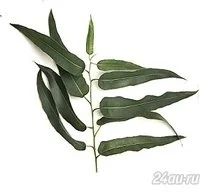 Лот: 5895247. Фото: 1. Коллекция купажей из целебных... Чай, кофе, какао
