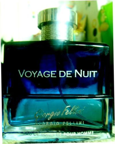 Лот: 17165636. Фото: 1. "Voyage de nuit" от Giorgio Fellini... Мужская парфюмерия