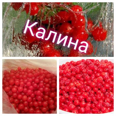 Лот: 24920420. Фото: 1. Калина ягода. Ягоды, орехи