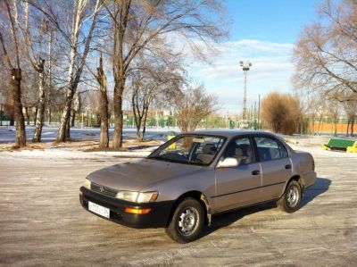 Лот: 5391028. Фото: 1. Toyota corolla. Автомобили