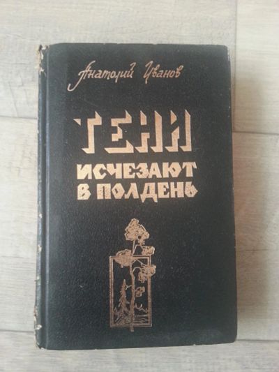 Лот: 7092565. Фото: 1. Анатолий Иванов. Тени исчезают... Художественная
