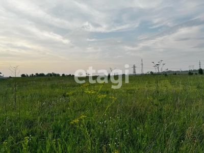 Лот: 25291301. Фото: 1. участок , СПК Солонцы СПК Солонцы... Земельные участки