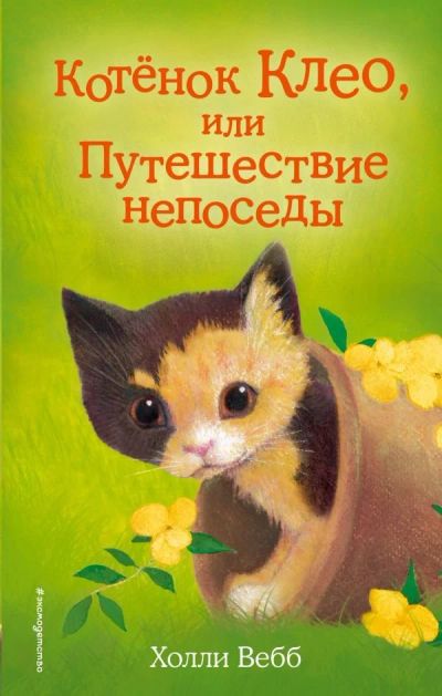Лот: 12638371. Фото: 1. Холли Вебб "Котёнок Клео, или... Художественная для детей