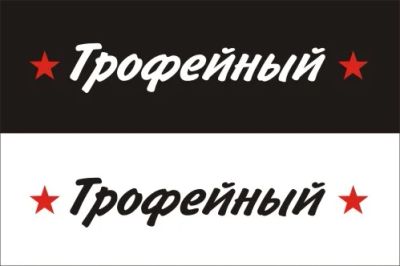Лот: 3932854. Фото: 1. Наклейка виниловая к Дню Победы... Детали тюнинга