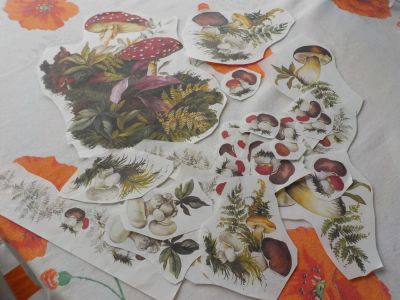 Лот: 7410447. Фото: 1. Вырезки из декупажной карты №1. Декупаж