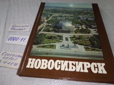 Лот: 18800318. Фото: 1. Новосибирск. Фотоальбом | Воробьева... Декоративно-прикладное искусство