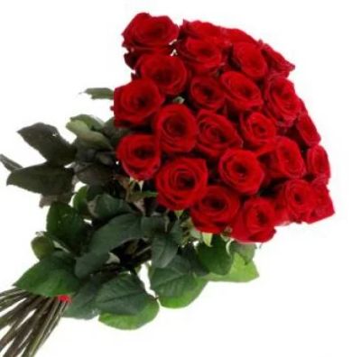 Лот: 4878038. Фото: 1. Букет из 25 красных роз 50 см... Свежие цветы