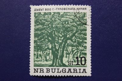 Лот: 8530498. Фото: 1. Почтовая марка №6210 в коллекцию. Марки