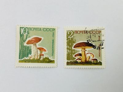 Лот: 23314688. Фото: 1. Грибы. Неполная серия. Флора... Марки