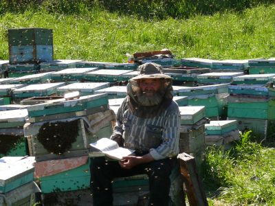 Лот: 6608126. Фото: 1. Мёд с чистых лугов Алтая. Мёд, продукты пчеловодства