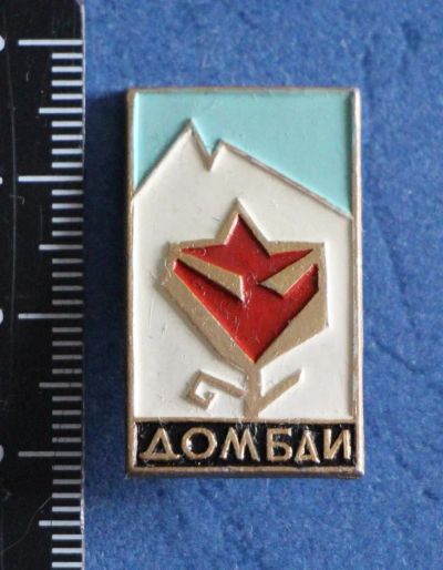Лот: 11540978. Фото: 1. Значок: Домбай.Горнолыжный курорт... Сувенирные