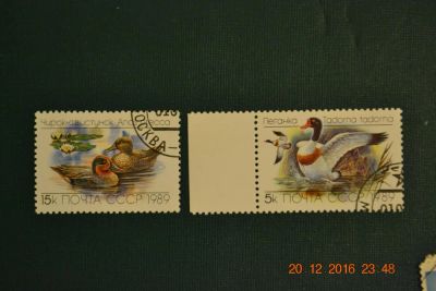 Лот: 8761559. Фото: 1. Марки СССР 1989г. из серии Утки. Марки