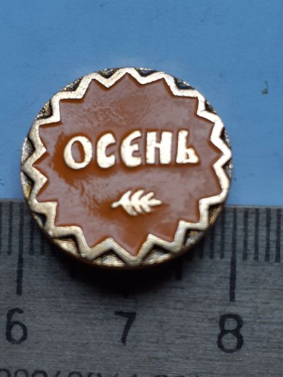 Лот: 19219723. Фото: 1. ( №9228) значки детство,Осень. Сувенирные