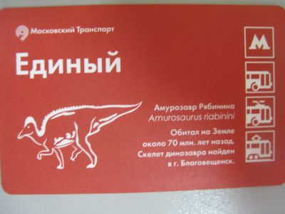 Лот: 20861377. Фото: 1. Билет метро Единый Амурозавр Благовещенск... Билеты, талоны