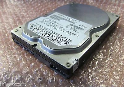 Лот: 4994625. Фото: 1. Hitachi HDS721680PLA380. Жёсткие диски (HDD)