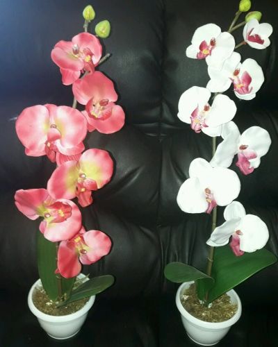Лот: 10068100. Фото: 1. Орхидея (искусвоенный цветок). Искусственные и сувенирные цветы