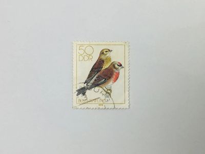 Лот: 23314148. Фото: 1. Местные певчие птицы. Коноплянка... Марки