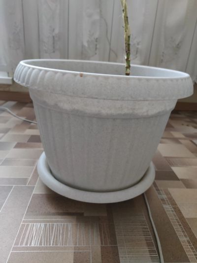 Лот: 24912243. Фото: 1. Горшок (вазон) для цветов, с грунтом. Кашпо, горшки, вазоны для цветов