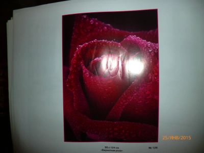 Лот: 5007097. Фото: 1. фотообои "бархатная роза". Обои, панели, ДВП, ДСП, МДФ