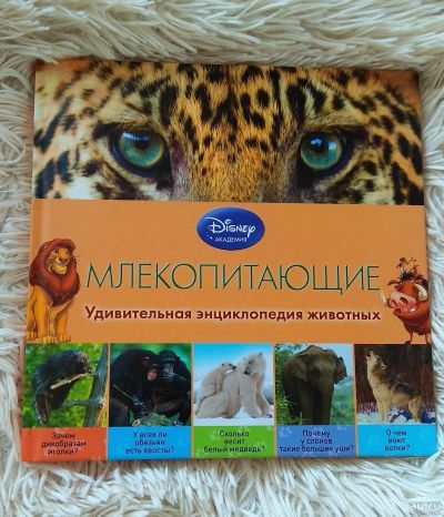 Лот: 13745711. Фото: 1. Энциклопедия удивительных животных. Энциклопедии
