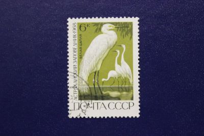 Лот: 7367332. Фото: 1. Почтовая марка №4891 в коллекцию. Марки