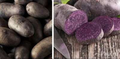 Лот: 18080073. Фото: 1. Фиолетовый картофель. Французский... Картофель