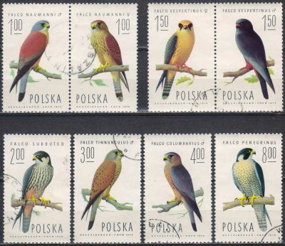 Лот: 25059672. Фото: 1. 1975. Польша. Соколы. Полная серия... Марки