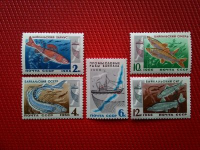 Лот: 13294920. Фото: 1. 1966, сентябрь. Промысловые рыбы... Марки