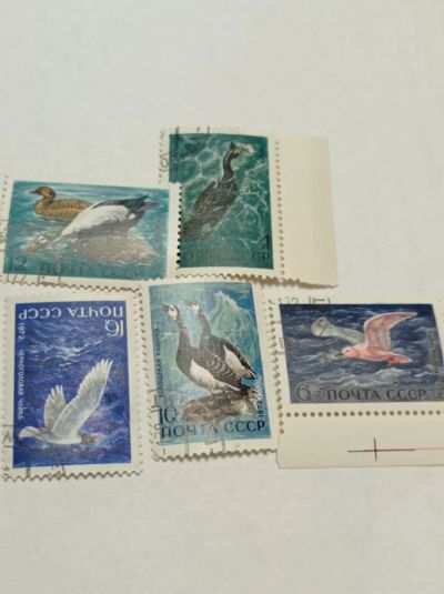 Лот: 19674138. Фото: 1. Марки СССР 1972 г. Фауна морей... Марки