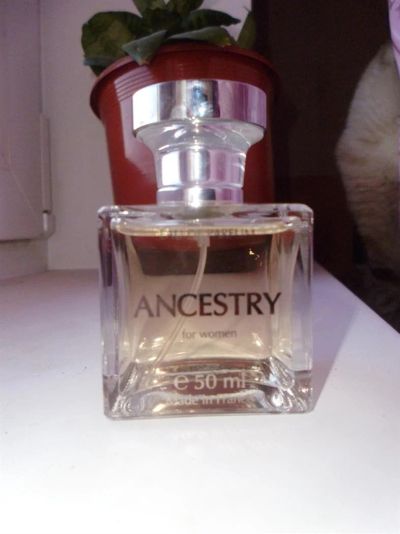 Лот: 3676470. Фото: 1. Парфюм ANCEStry от AMWAY. Женская парфюмерия