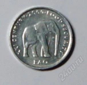 Лот: 2310093. Фото: 1. Сомали. 5 шиллингов 2000 г. FAO... Африка