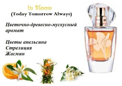 Лот: 11827628. Фото: 1. Парфюмерная вода Avon In Bloom... Женская парфюмерия