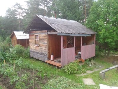 Лот: 5855528. Фото: 1. баня. Срубы, бани, дома