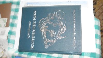 Лот: 15440732. Фото: 1. экзотические рыбы. Художественная
