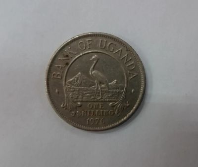 Лот: 25314348. Фото: 1. Монета Уганда 1 шиллинг 1976г. Африка