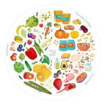 Лот: 22072142. Фото: 1. Nutrisol, Тарелка «Принцип здорового... Игрушки