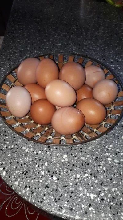 Лот: 10228888. Фото: 1. Домашнее яйцо. Мясо, птица, яйцо