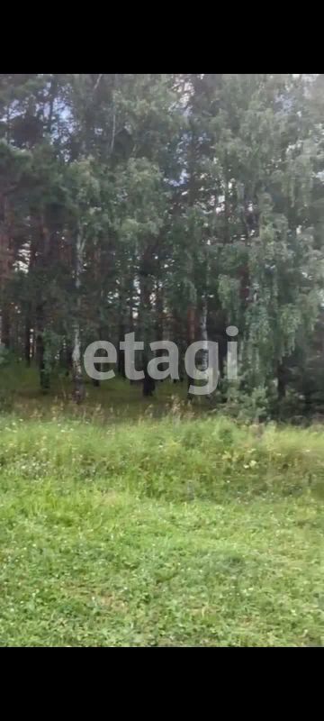 Лот: 25295670. Фото: 1. участок , посёлок Сорокино посёлок... Земельные участки