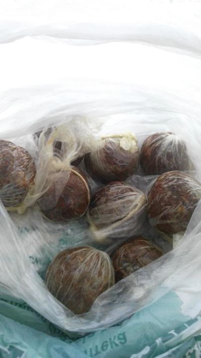 Лот: 10759383. Фото: 1. Прополис. Мёд, продукты пчеловодства