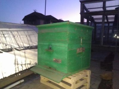 Лот: 5360853. Фото: 1. улики для пчел-осталось 3 улика. Пчеловодство