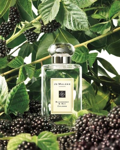 Лот: 9462377. Фото: 1. Jo Malone Blackberry & Bay Cologne... Женская парфюмерия