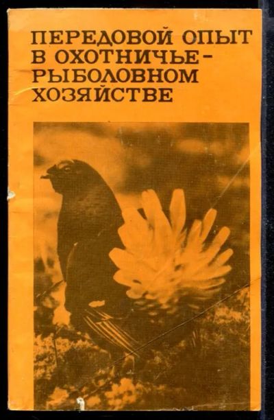 Лот: 23429681. Фото: 1. Передовой опыт в охотничье-рыболовном... Спорт, самооборона, оружие